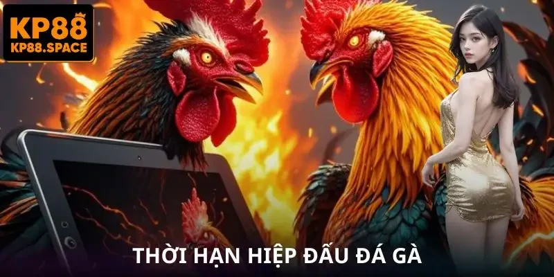 da-ga-philippines-thoi-han-hiep-dau